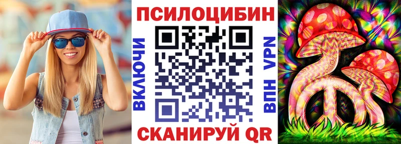 Псилоцибиновые грибы Psilocybine cubensis  Питкяранта 